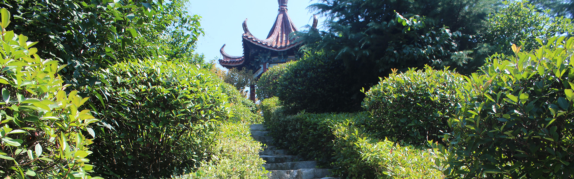 banner001